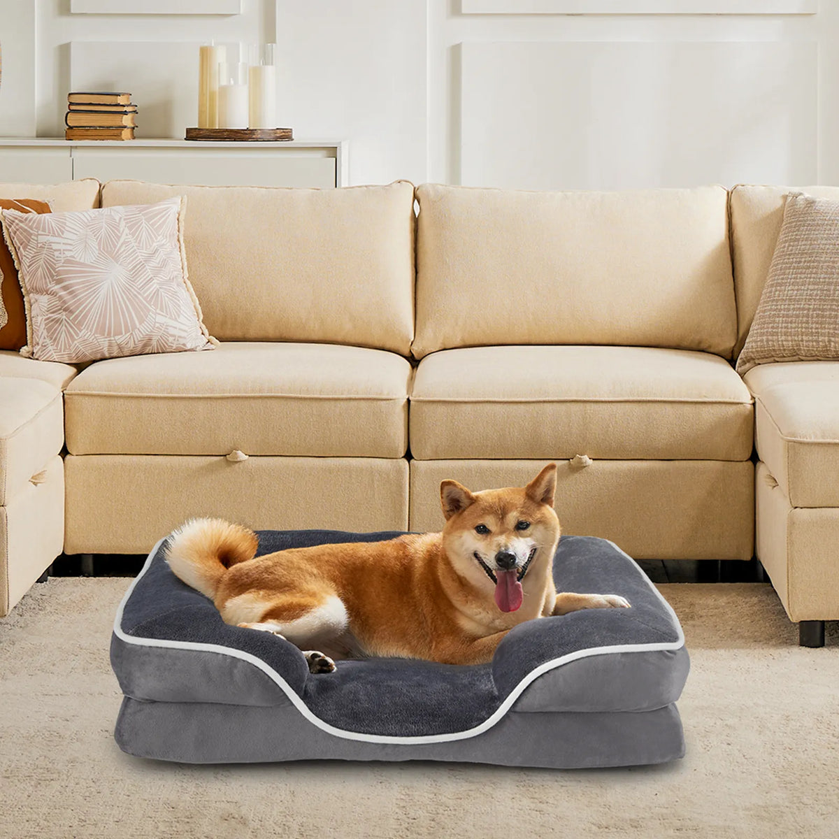 Dog resting in memory foam pet bed