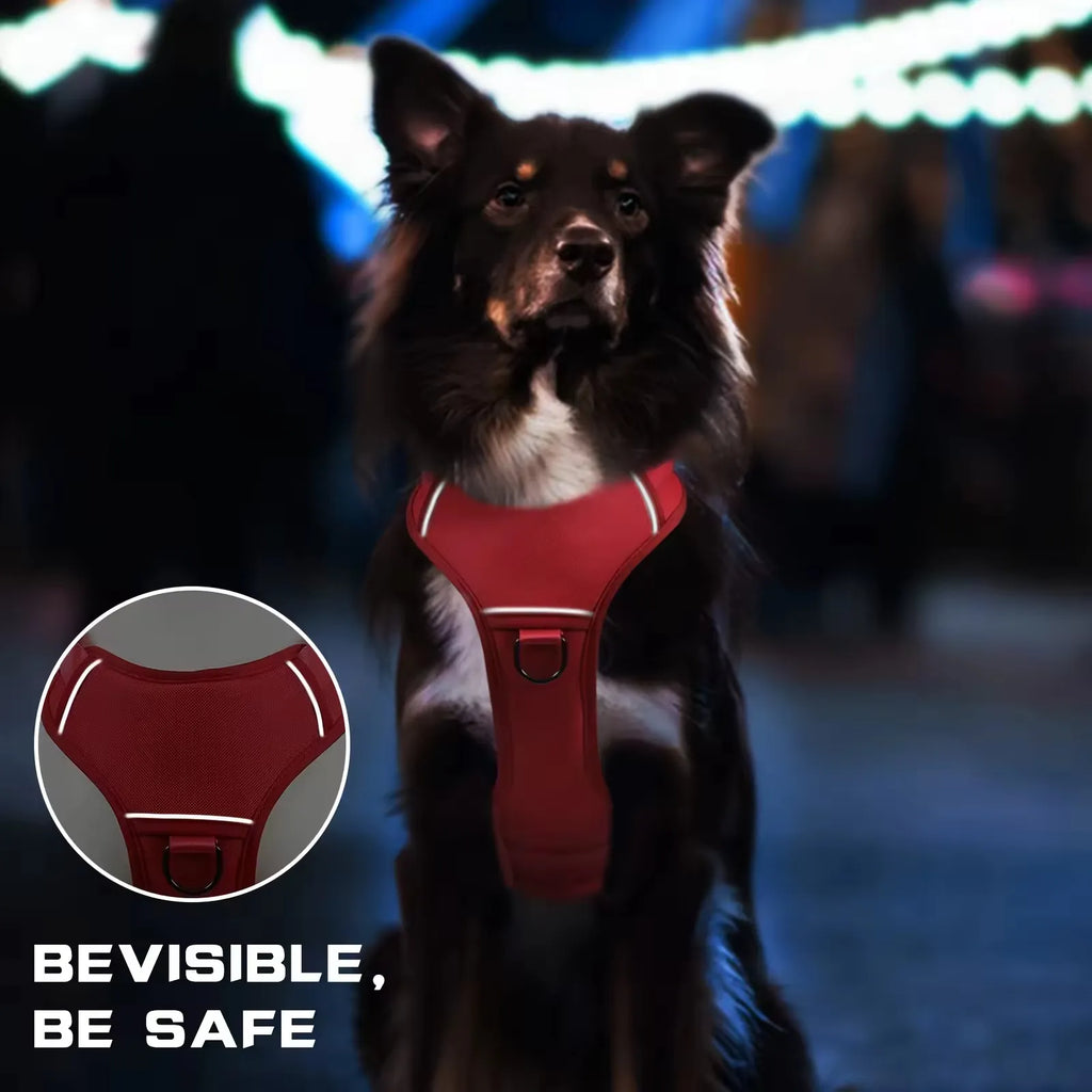 Dog wearing black tactical no-pull harness