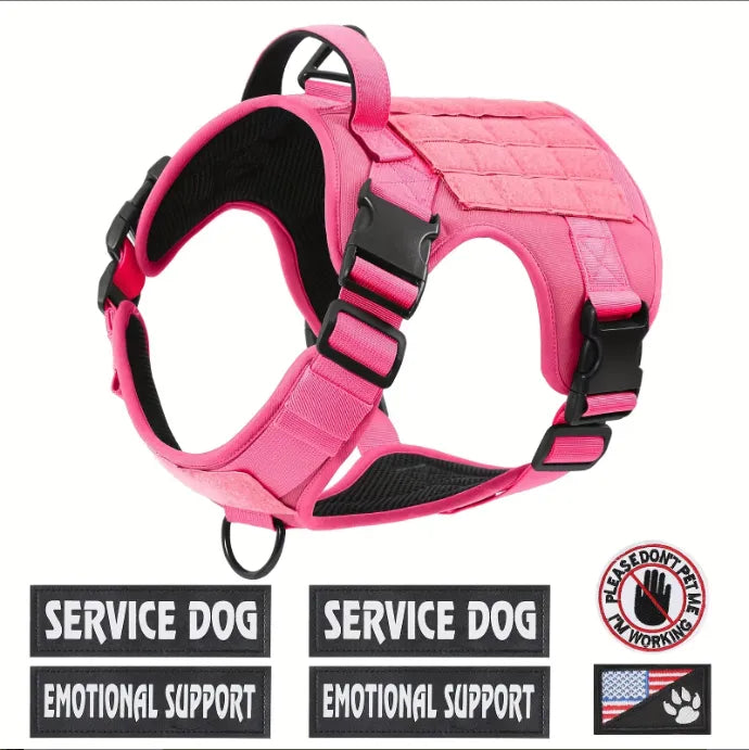 Large dog wearing heavy-duty tactical harness outdoors