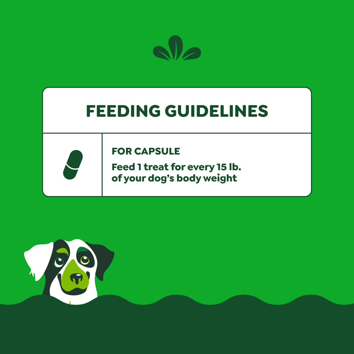 Greenies Pill Pockets Large Size Dog Treats, Peanut Butter, 15.8 oz