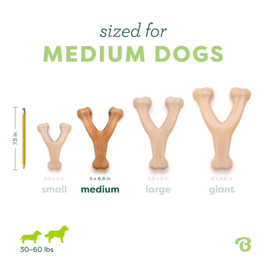 Benebone Wishbone Dog Chew Toy for Aggressive Chewers, Real Bacon, Medium