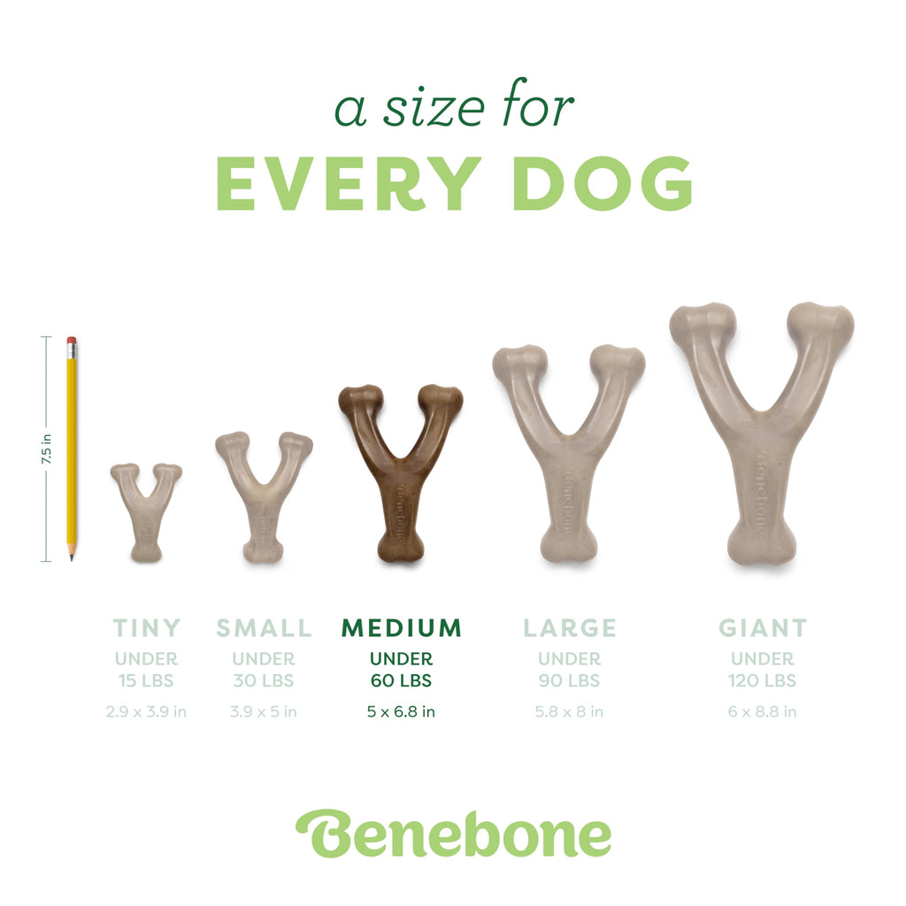 Benebone Wishbone Dog Chew Toy for Aggressive Chewers, Real Bacon, Medium