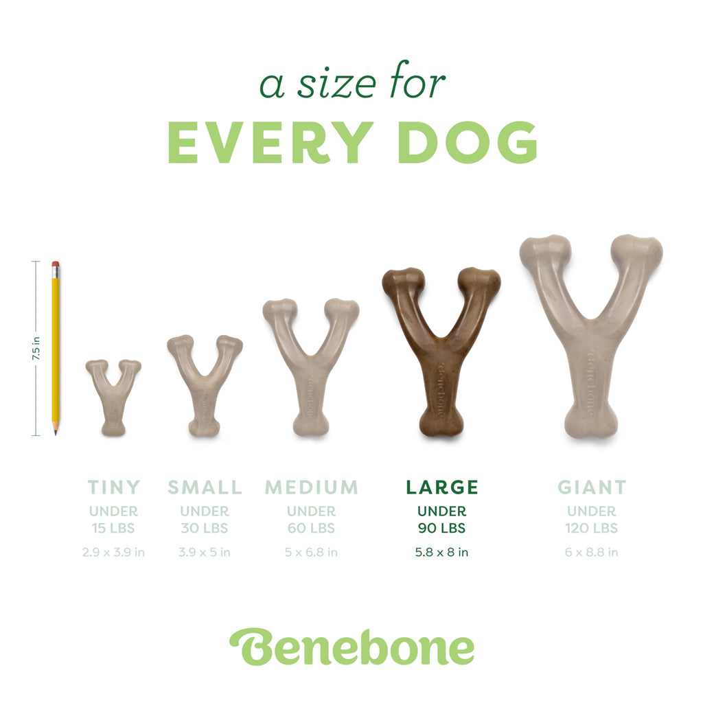 Benebone Wishbone Dog Chew Toy for Aggressive Chewers, Real Bacon, Medium