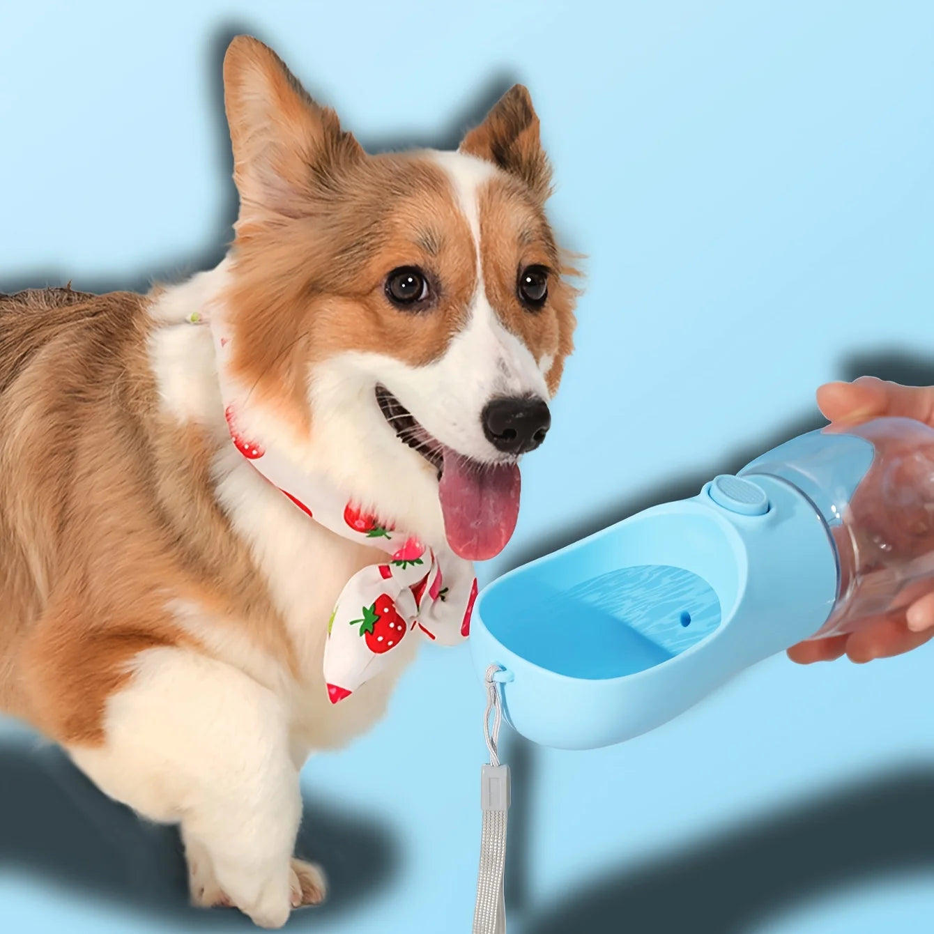 Portable Collapsible Water Bottle