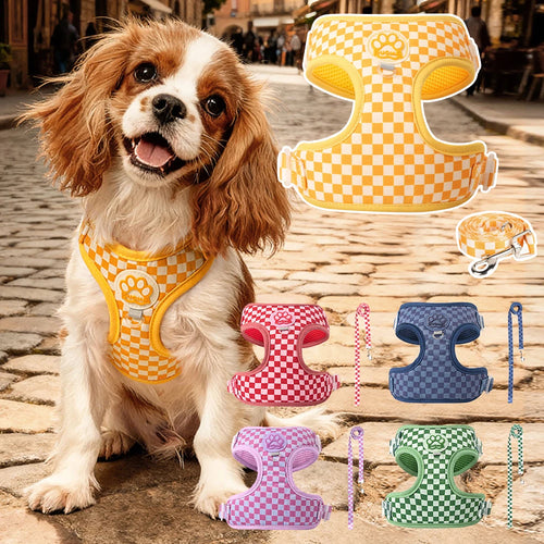 Adjustable Fashion Harness & Leash Set