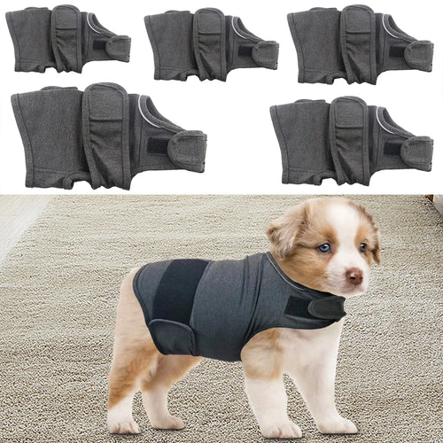 Anti-Anxiety Weighted Vest
