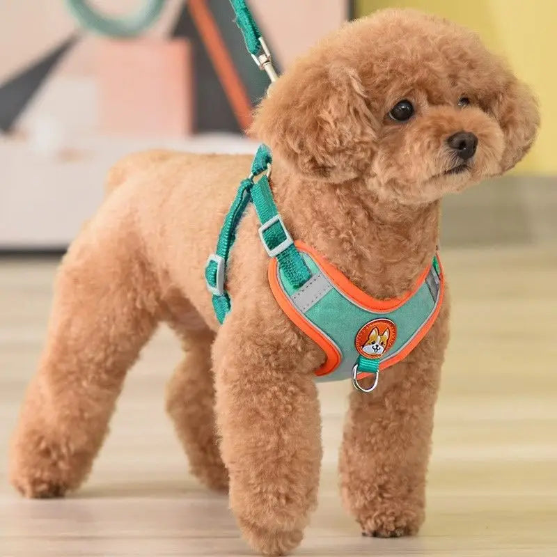 Reflective No-Pull Harness