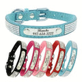 Personalized Engraved Pet ID Tag