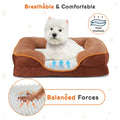 Memory foam pet bed in brown