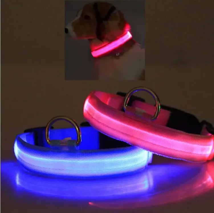 Colorful LED pet safety collars glowing